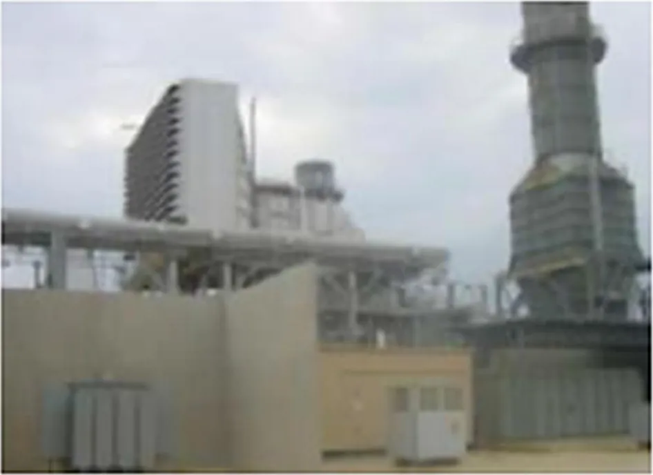 Termozulia Plant