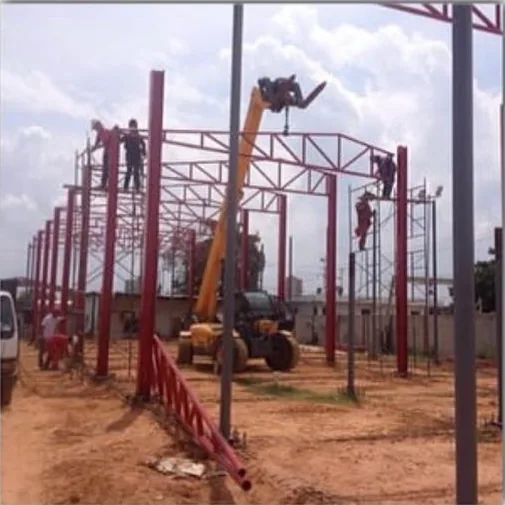 Estructura del galpón